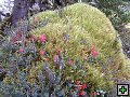 thn_NZ leden-unor 2006 183.jpg